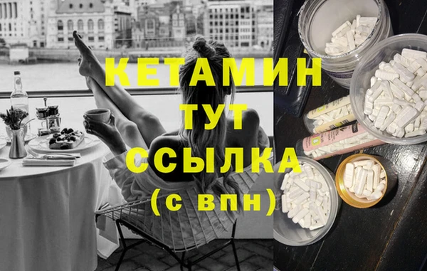 шишки Арсеньев