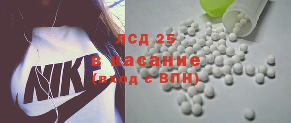 шишки Арсеньев