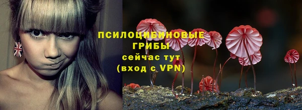 шишки Арсеньев