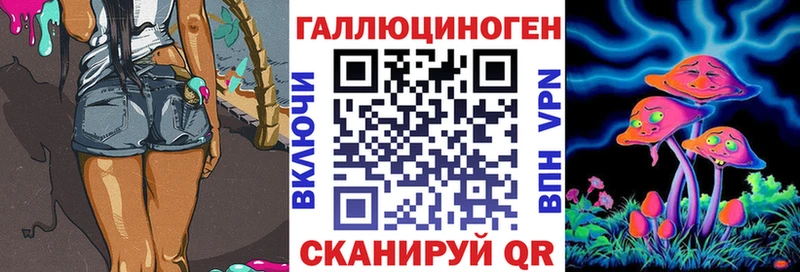 Псилоцибиновые грибы Psilocybine cubensis  Междуреченск 