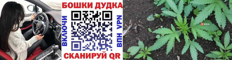 omg tor  Междуреченск  Бошки марихуана VHQ 